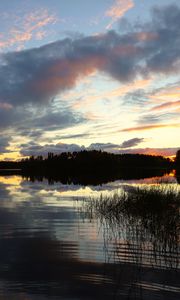 Превью обои река, деревья, лес, отражение, темный, небо