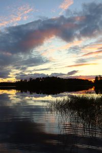 Превью обои река, деревья, лес, отражение, темный, небо