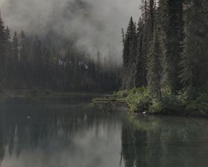 Превью обои река, деревья, лес, мрак, туман