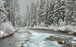 Превью обои река, деревья, лес, снег, зима
