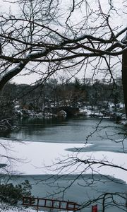 Превью обои река, деревья, мост, ветки, снег, парк