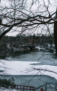 Превью обои река, деревья, мост, ветки, снег, парк