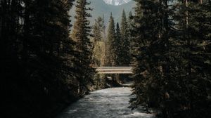 Превью обои река, деревья, мост, горы, природа