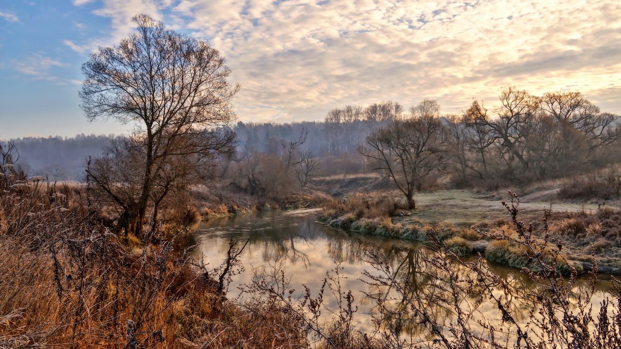 Обои река, деревья, небо, hdr