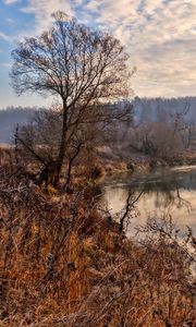 Превью обои река, деревья, небо, hdr