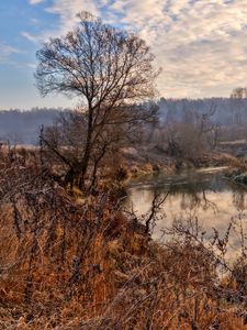 Превью обои река, деревья, небо, hdr