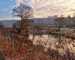 Превью обои река, деревья, небо, hdr