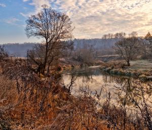 Превью обои река, деревья, небо, hdr