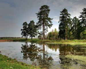 Превью обои река, деревья, небо