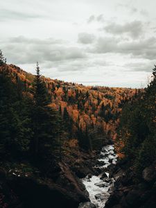 Превью обои река, деревья, осень, камни, поток