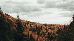 Превью обои река, деревья, осень, камни, поток
