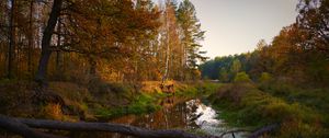 Превью обои река, деревья, осень, пейзаж