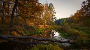 Превью обои река, деревья, осень, пейзаж