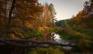 Превью обои река, деревья, осень, пейзаж