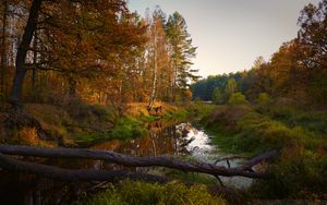 Превью обои река, деревья, осень, пейзаж