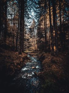 Превью обои река, деревья, поток, лес
