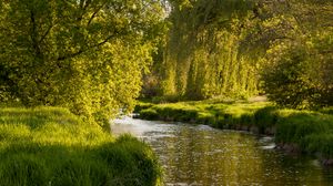 Превью обои река, деревья, природа, пейзаж, зеленый