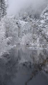 Превью обои река, деревья, снег, зима, пейзаж