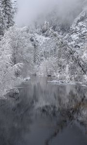 Превью обои река, деревья, снег, зима, пейзаж