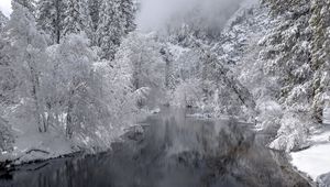 Превью обои река, деревья, снег, зима, пейзаж