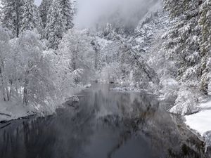 Превью обои река, деревья, снег, зима, пейзаж