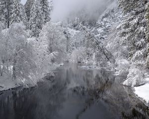 Превью обои река, деревья, снег, зима, пейзаж