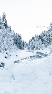 Превью обои река, деревья, снег, пейзаж, зима