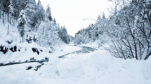Превью обои река, деревья, снег, пейзаж, зима