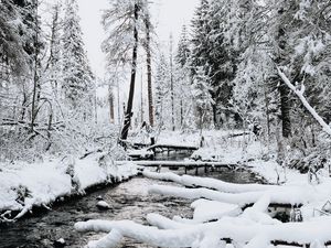 Превью обои река, деревья, снег, зима, природа, пейзаж