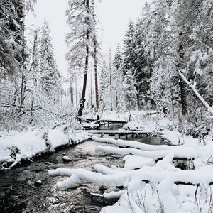 Превью обои река, деревья, снег, зима, природа, пейзаж
