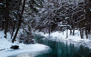 Превью обои река, деревья, снег, вода, природа, пейзаж