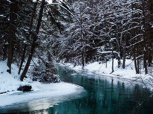 Превью обои река, деревья, снег, вода, природа, пейзаж