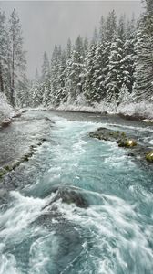 Превью обои река, деревья, снег, природа, зима