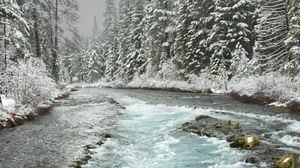 Превью обои река, деревья, снег, природа, зима