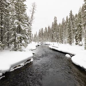 Превью обои река, деревья, снег, пейзаж, зима, природа