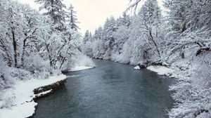 Превью обои река, деревья, снег, берега, зима, природа