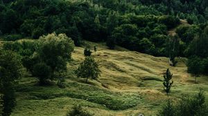 Превью обои река, деревья, трава, кусты, камни
