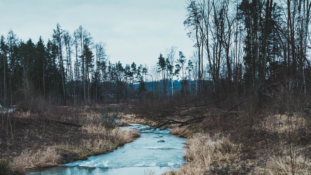 Обои река, деревья, трава, осень