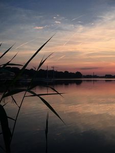 Превью обои река, деревья, трава, вечер, природа