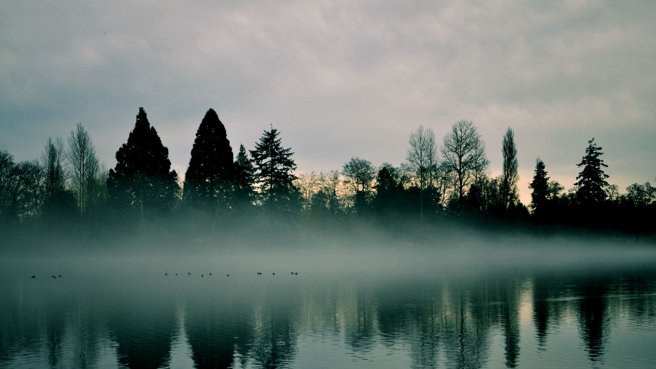 Обои река, деревья, туман, отражение