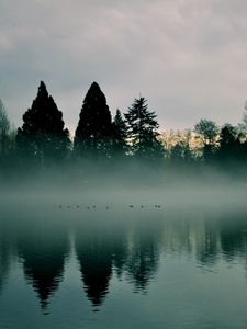 Превью обои река, деревья, туман, отражение
