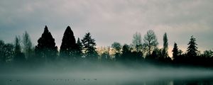 Превью обои река, деревья, туман, отражение