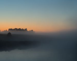 Превью обои река, деревья, туман, пейзаж, природа