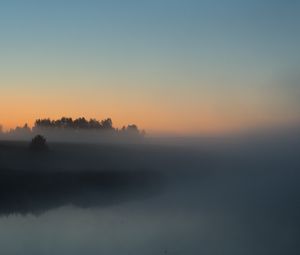 Превью обои река, деревья, туман, пейзаж, природа