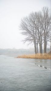 Превью обои река, деревья, туман, лед