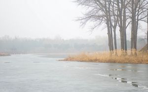 Превью обои река, деревья, туман, лед