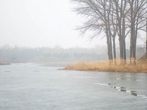 Превью обои река, деревья, туман, лед