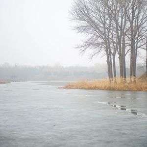 Превью обои река, деревья, туман, лед