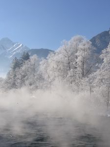 Превью обои река, деревья, туман, утро, дымка