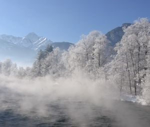 Превью обои река, деревья, туман, утро, дымка